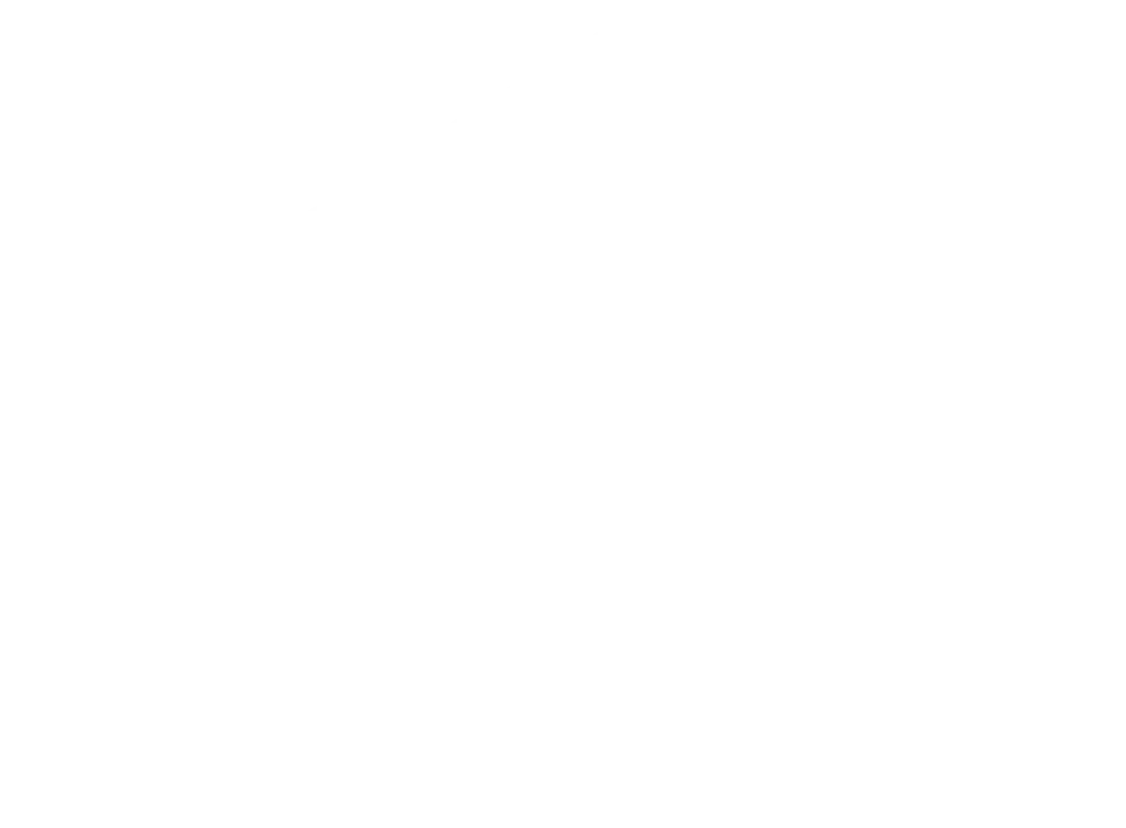 Smart Build Logo White